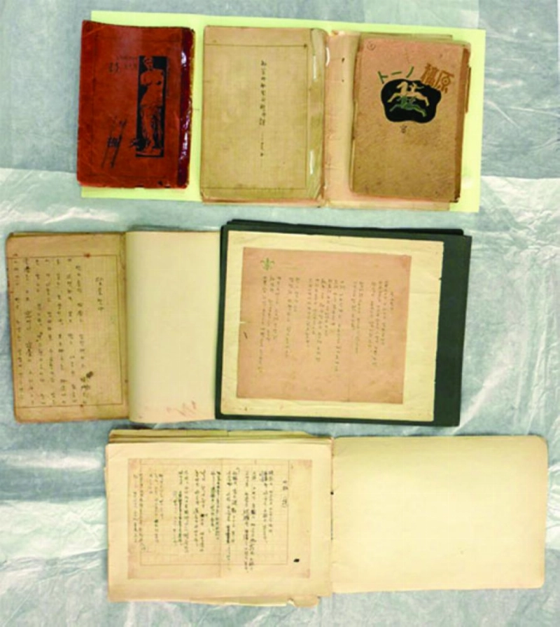 المخطوطات الأدبية (The Dong-a Ilbo)
