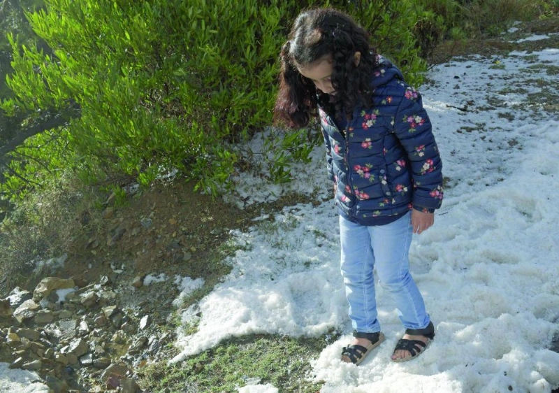 طفلة تلهو على حبات البرد بعد هطول أمطار على منطقة عسير (واس)