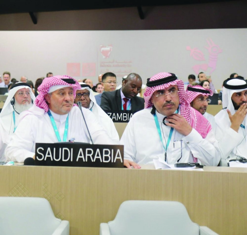 إبراهيم البلوي (واس)
