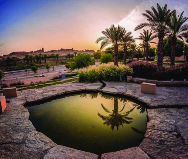 واحة الأحساء (مكة)