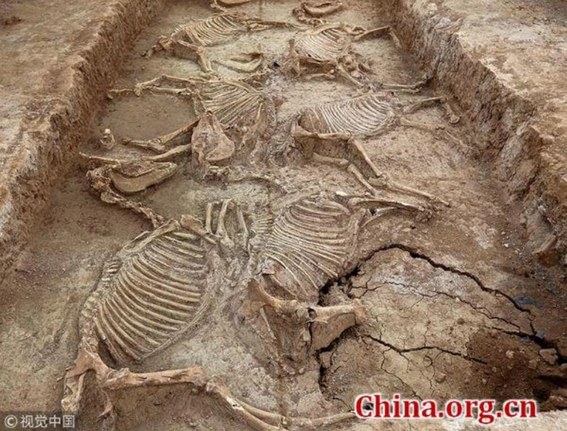 مقبرة خيل (china.org.cn)