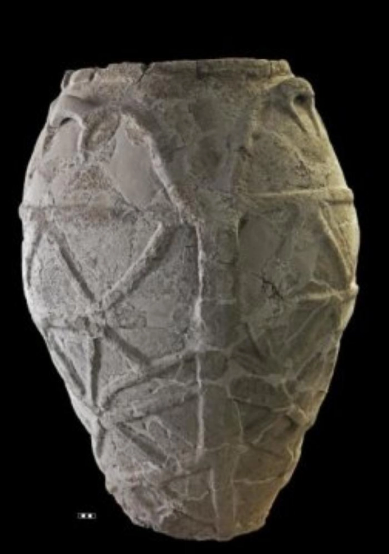 الجرة (Science Daily)