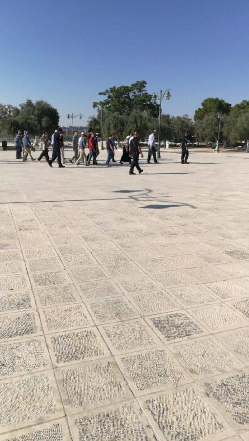 مستوطنون يهود يقتحمون ساحات الحرم القدسي (فلسطين نيوز)
