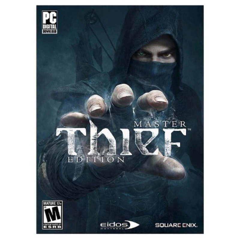 Thief