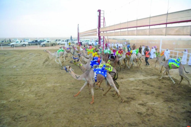 جانب من أشواط التنشيطي للفترة الصباحية أمس (هيئة الرياضة)