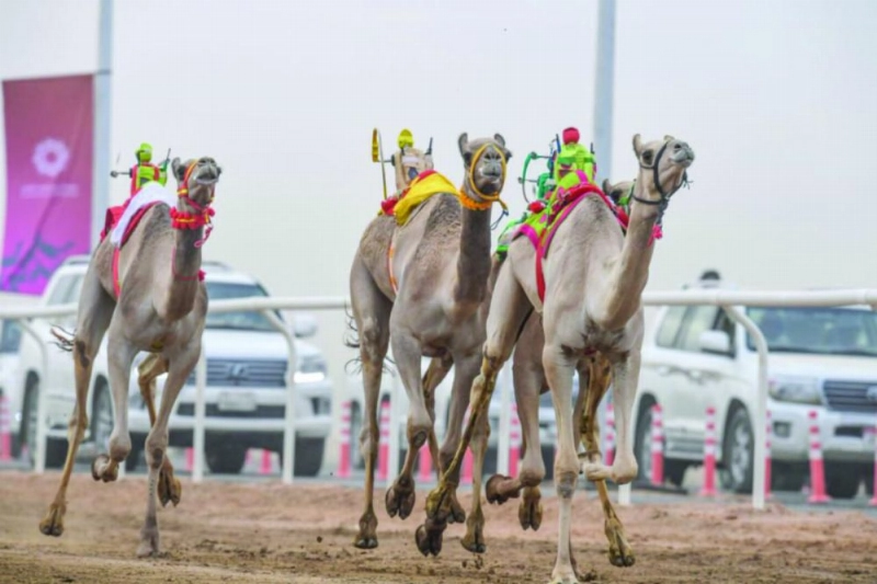 جانب من منافسات اليوم الثاني للمهرجان (هيئة الرياضة)