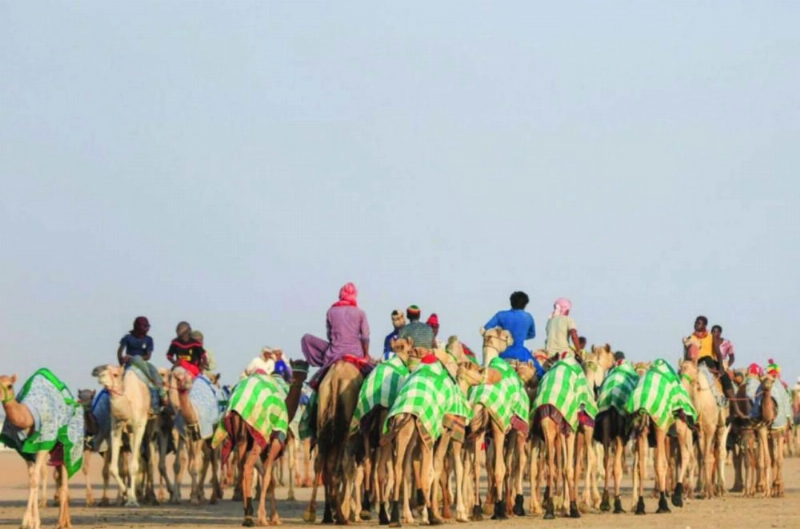 من سباقات المهرجان أمس (واس)