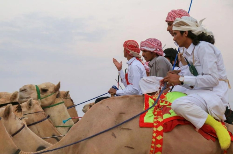 من منافسات ماراثون الهجن (واس)