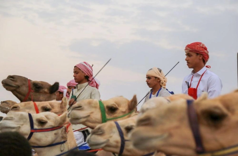 من منافسات ماراثون الهجن (واس)