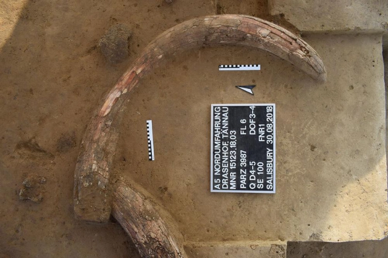 الموقع (Archaeology)