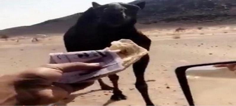 صورة من الفيديو المتداول