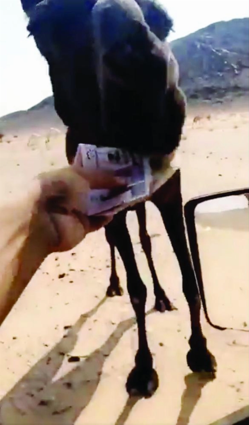 صورة من الفيديو المتداول