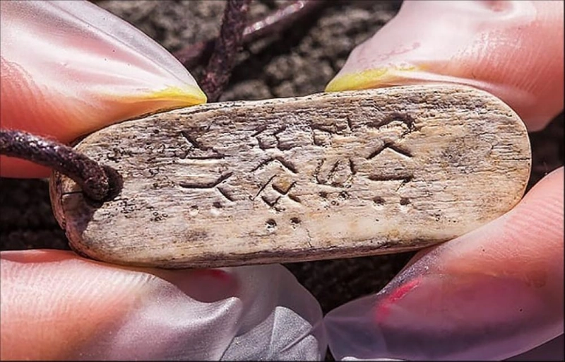 القلادة (Siberian Times )