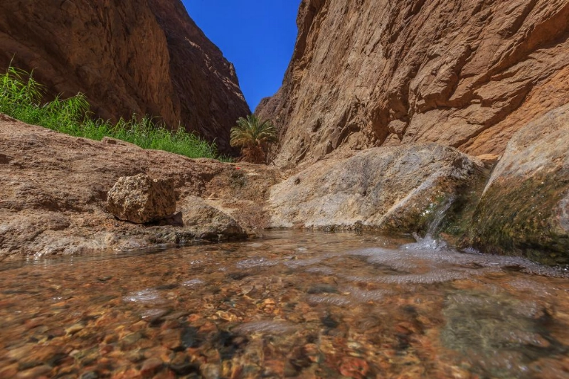 من مشروع نيوم