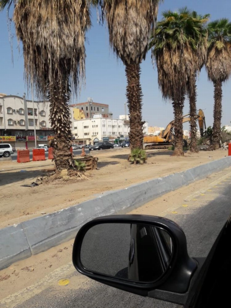 معدات الأمانة خلال إزالة الأشجار على طريق الأربعين (مكة)