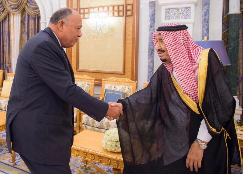 الملك سلمان لدى استقباله سامح شكري في الرياض (واس)
