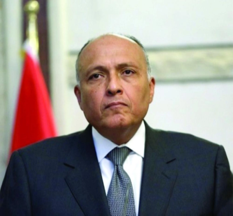 سامح شكري