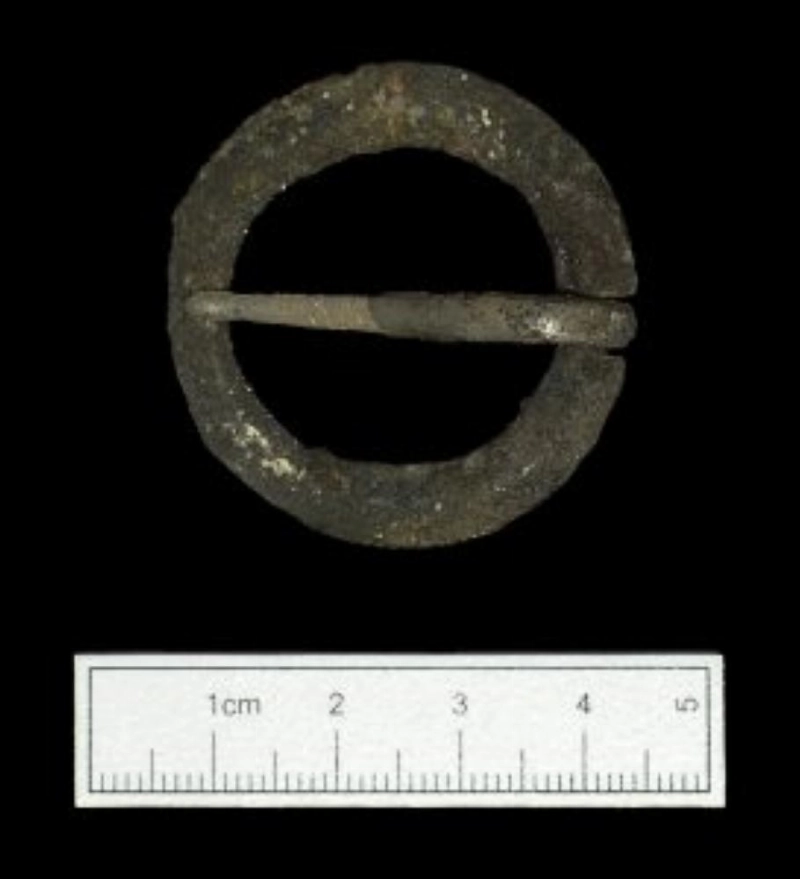أحد المشابك (Archaeology)