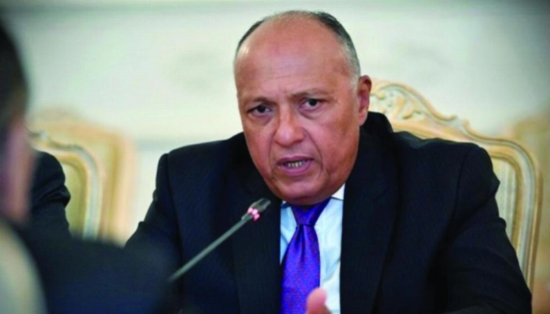 سامح شكري