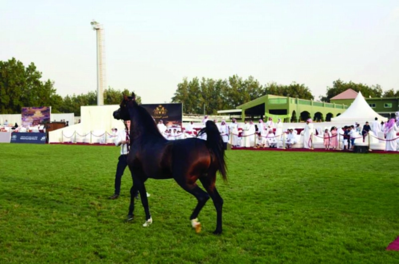 من الاستعدادات للبطولة (واس)
