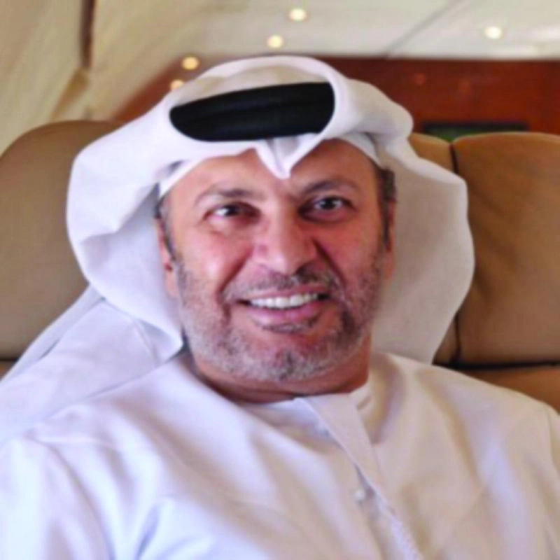 أنور قرقاش