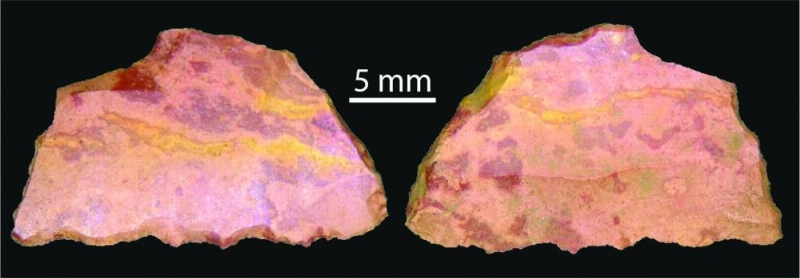 القطع الأثرية (Archaeology)