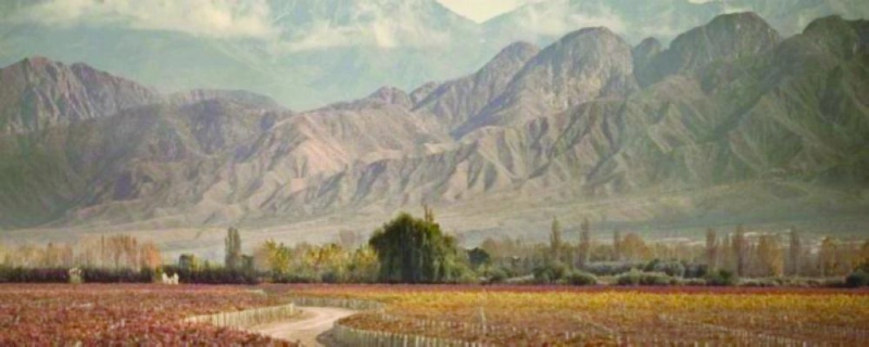 مندوزا