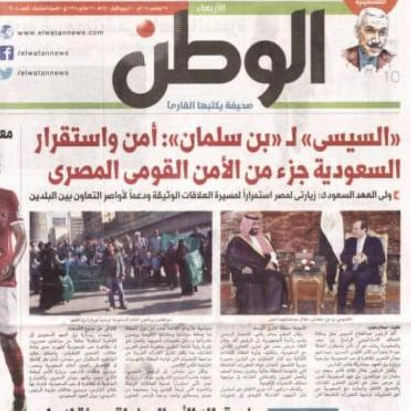 الوطن المصرية