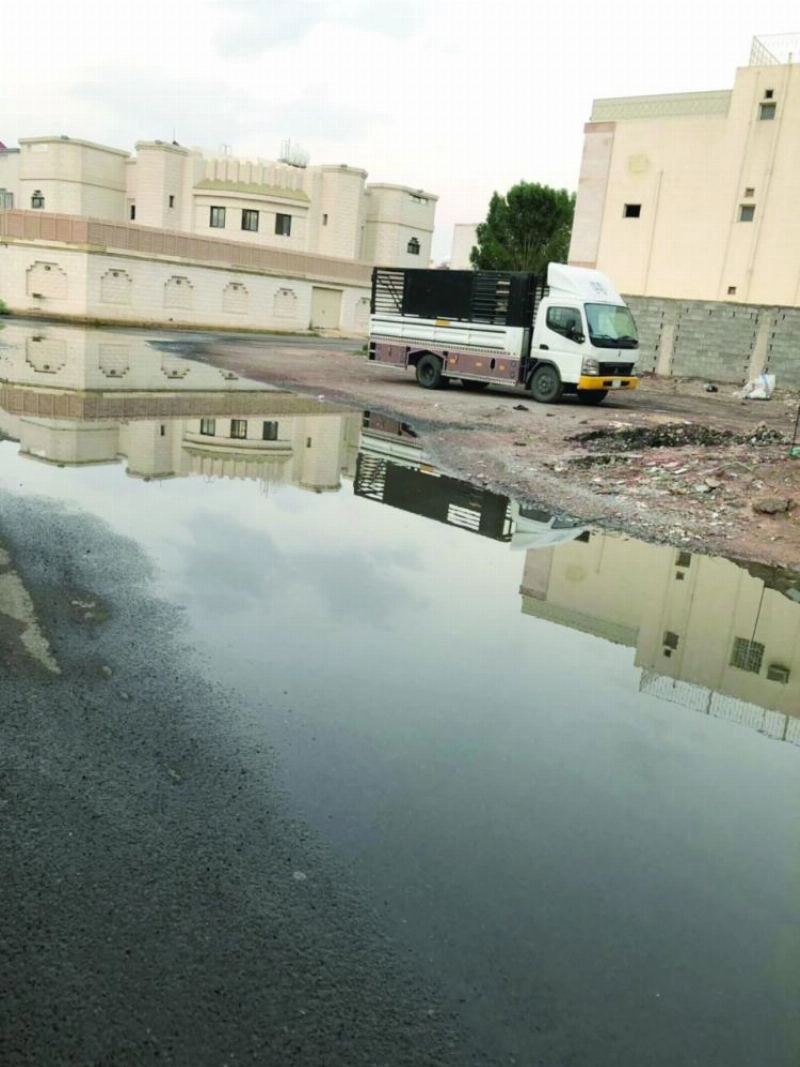 حي البدراني بالمدينة المنورة (مكة)