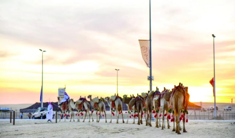 من عروض السفاري (واس)