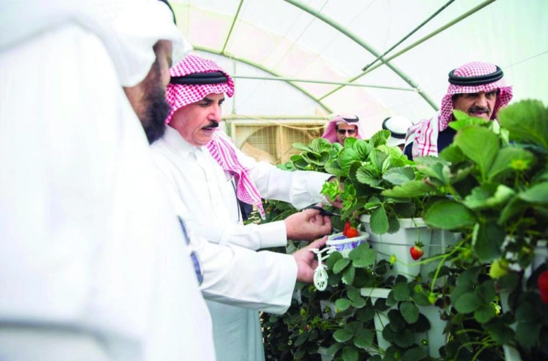 صالح الخليفة خلال زيارته لمزرعة الفراولة (واس)