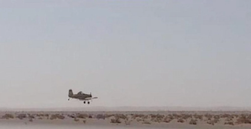 مكافحة الجراد الصحراوي (واس)