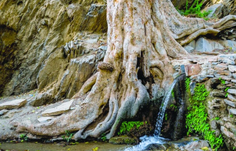 من المباني الأثرية في قرية ذي عين (واس)
