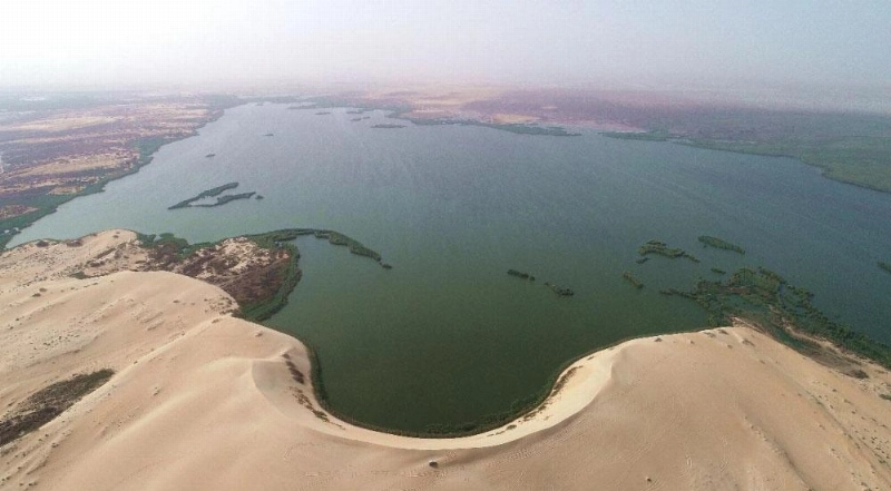(مكة) بحيرة الأصفر في الأحساء