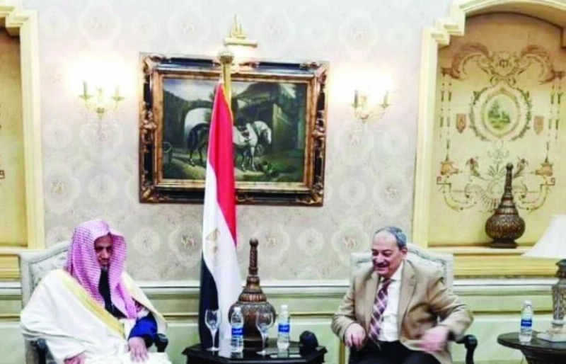 المعجب خلال لقاء صادق (وكالة الشرق الأوسط المصرية)