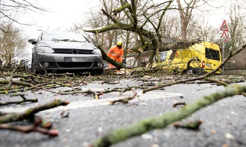 04 March 2019, Lower Saxony, Hanover: A firefighter pulls out a tree that fell on two vehicles during a storm. Photo: Julian Stratenschulte/dpa