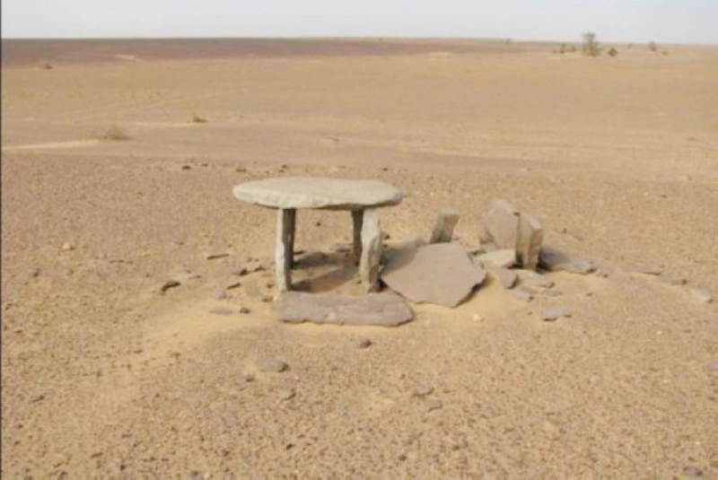 الهياكل (Live Science)