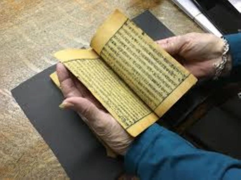 المخطوطة