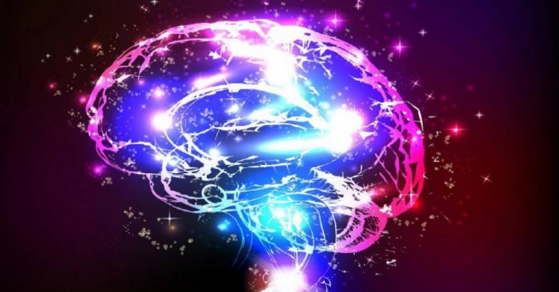 brain_waves_resize_md