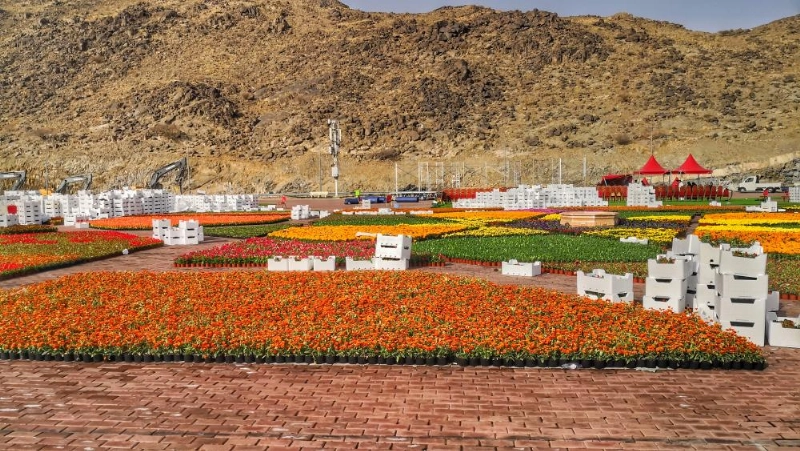 موقع مهرجان الزهور في مزدلفة (أنس الحارثي)