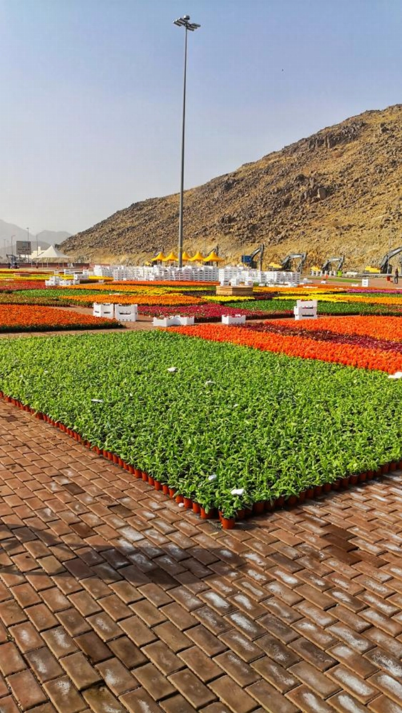 موقع مهرجان الزهور في مزدلفة (أنس الحارثي)