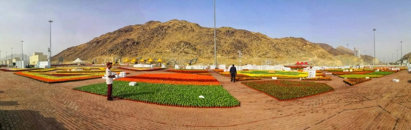 موقع مهرجان الزهور في مزدلفة (أنس الحارثي)