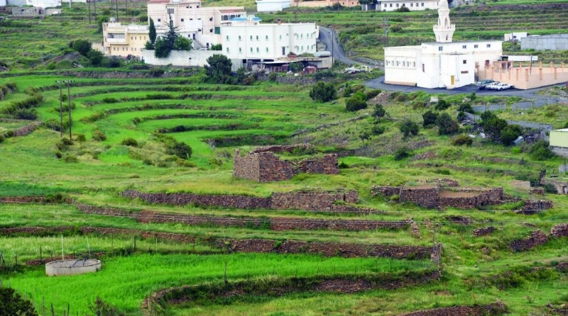 مدرجات زراعية في عسير (واس)