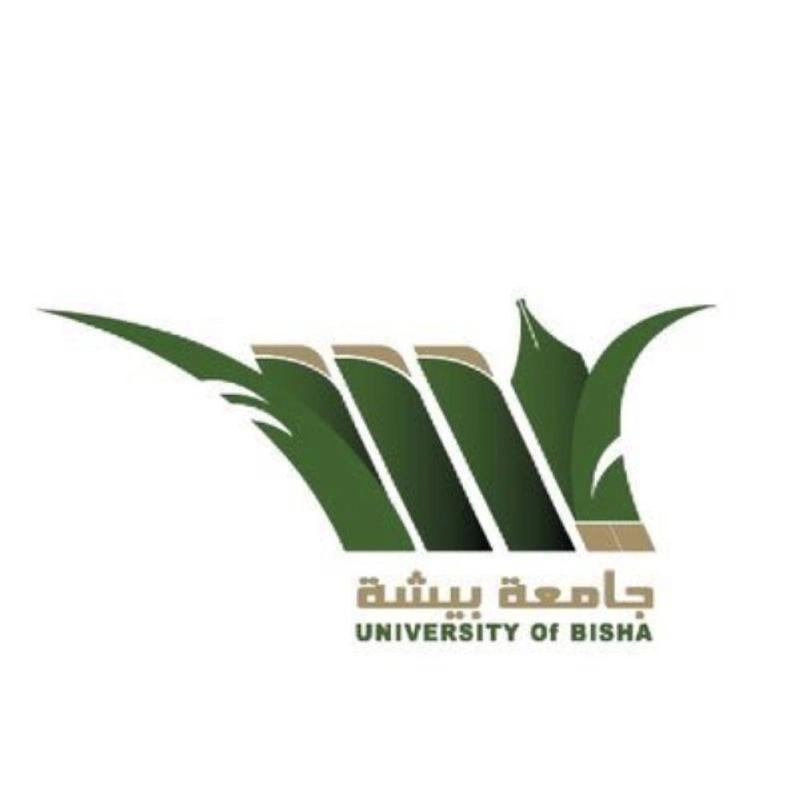 جامعة بيشة