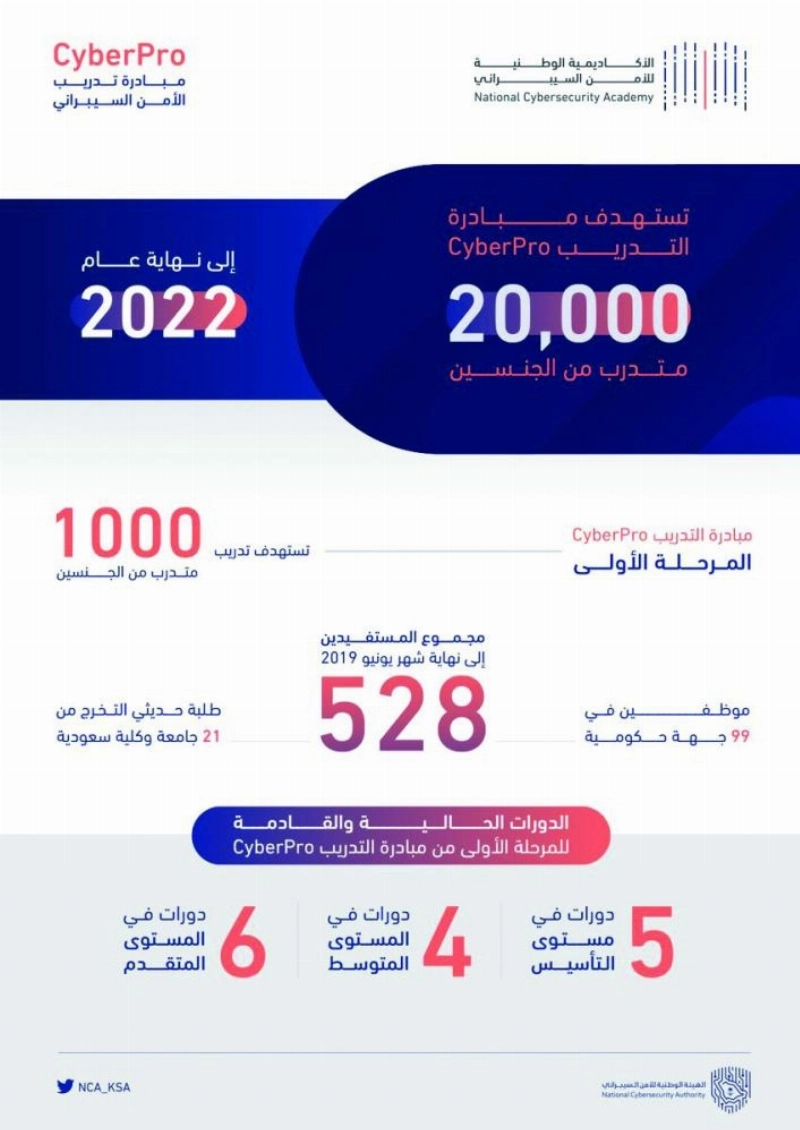 السيبراني