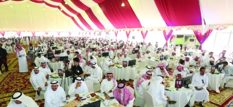 الصفوة 2