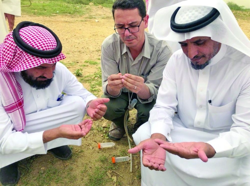 من متابعة أعمال المكافحة (مكة)