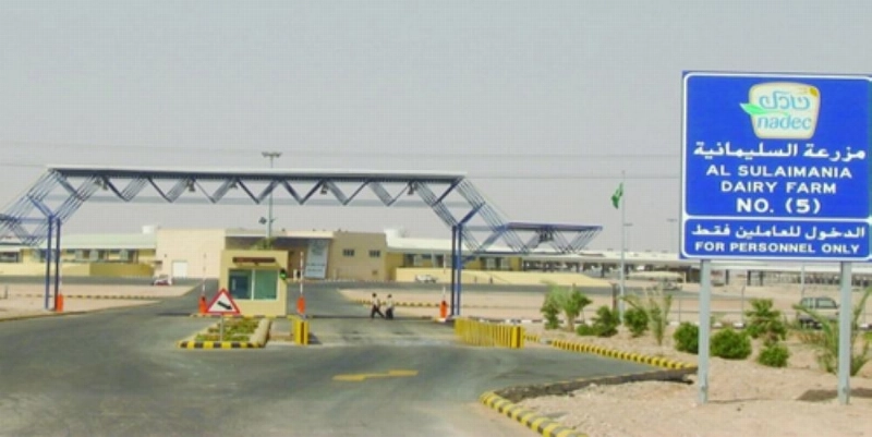 إحدى مزارع نادك (مكة)
