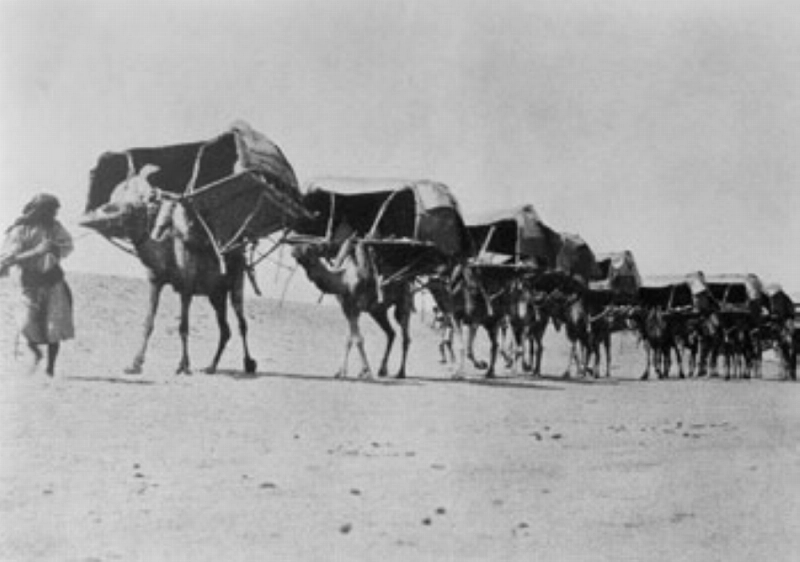 المحفة