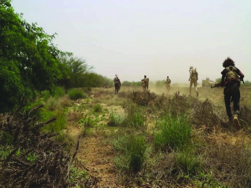 الجيش بجبهة حرض (مكة)